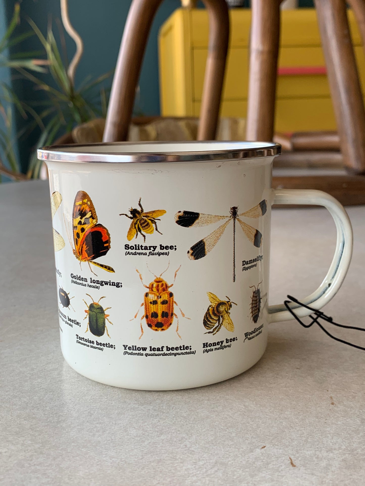 Insect Enamel Mug